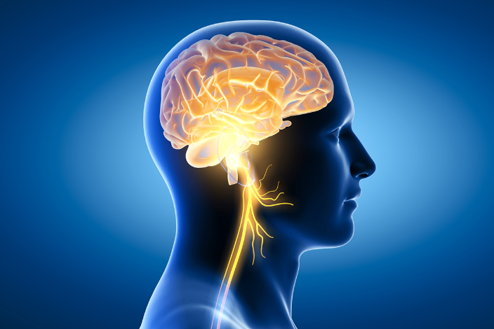 The Role of Hydration in Brain Health: Fueling Focus, Memory, and Clarity