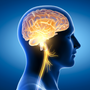 The Role of Hydration in Brain Health: Fueling Focus, Memory, and Clarity