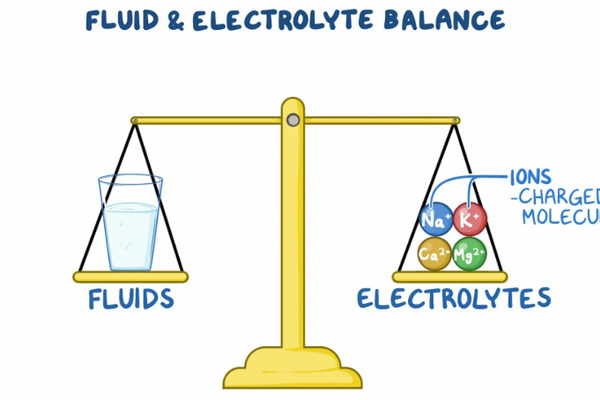 Understanding the Body’s Fluid Balance: How Daily Habits Influence Hydration and Vitamin Absorption