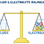 Understanding the Body’s Fluid Balance: How Daily Habits Influence Hydration and Vitamin Absorption