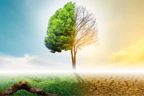 Spotting Early Signs of Nutrient and Fluid Imbalance—and Simple Ways to Restore Wellness