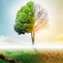 Spotting Early Signs of Nutrient and Fluid Imbalance—and Simple Ways to Restore Wellness