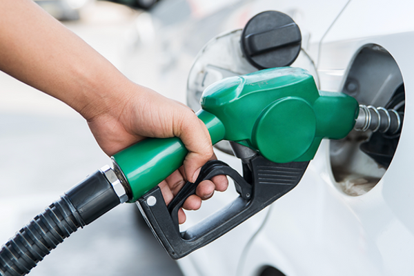 Vitamins and Your Body: How Nutrition Fuels Healthy Hydration