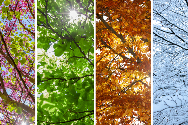 Seasonal Hydration: Why Your Vitamin and Fluid Needs Change Throughout the Year