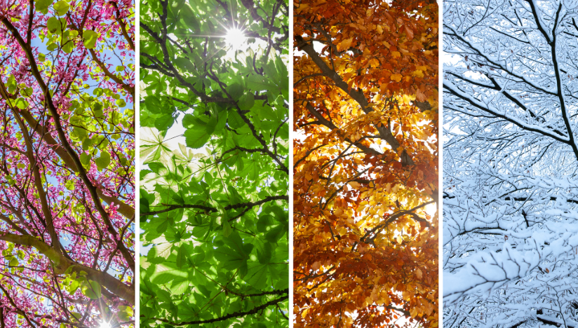 Seasonal Hydration: Why Your Vitamin and Fluid Needs Change Throughout the Year