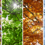Seasonal Hydration: Why Your Vitamin and Fluid Needs Change Throughout the Year