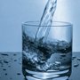 The Everyday Science Behind Staying Hydrated—How Much Is Enough?